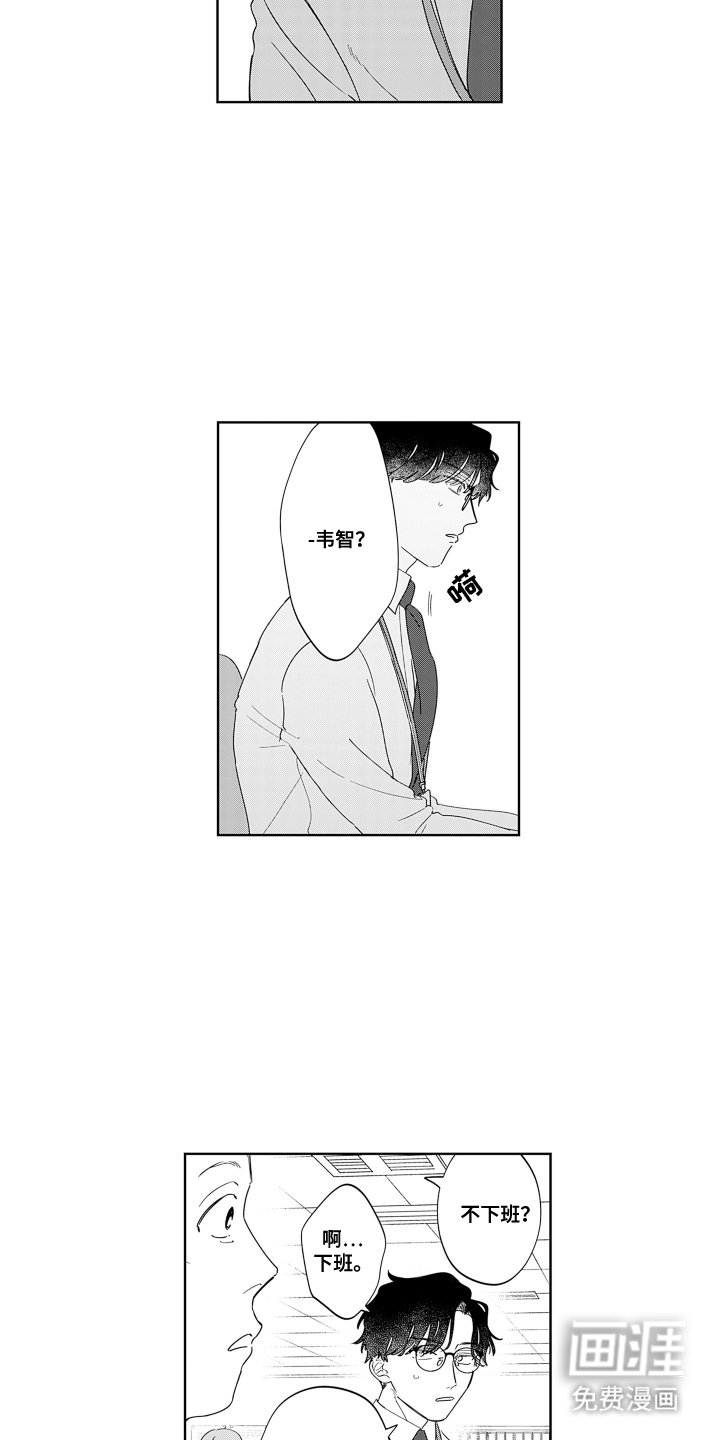 第13章：困惑