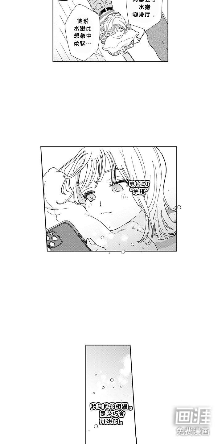 第2章：羊排的节目