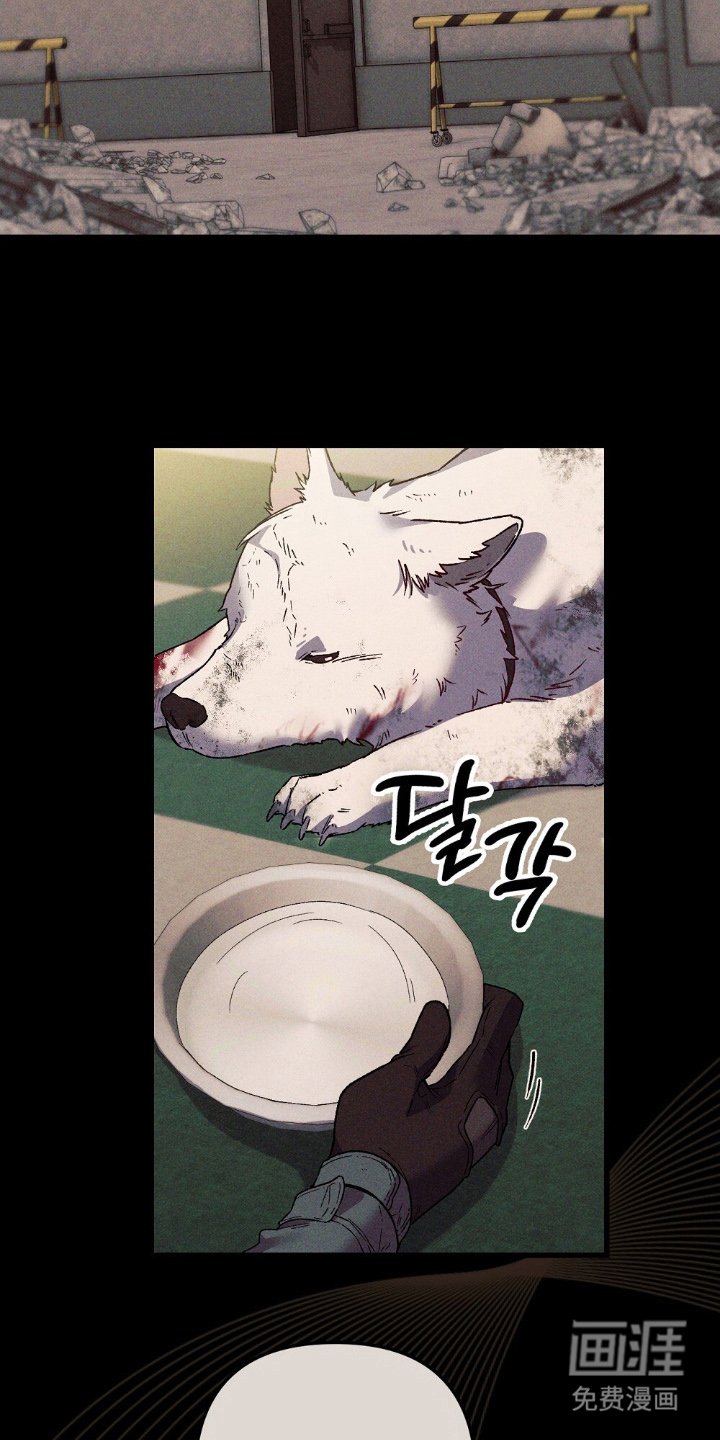 第13章：不记得了