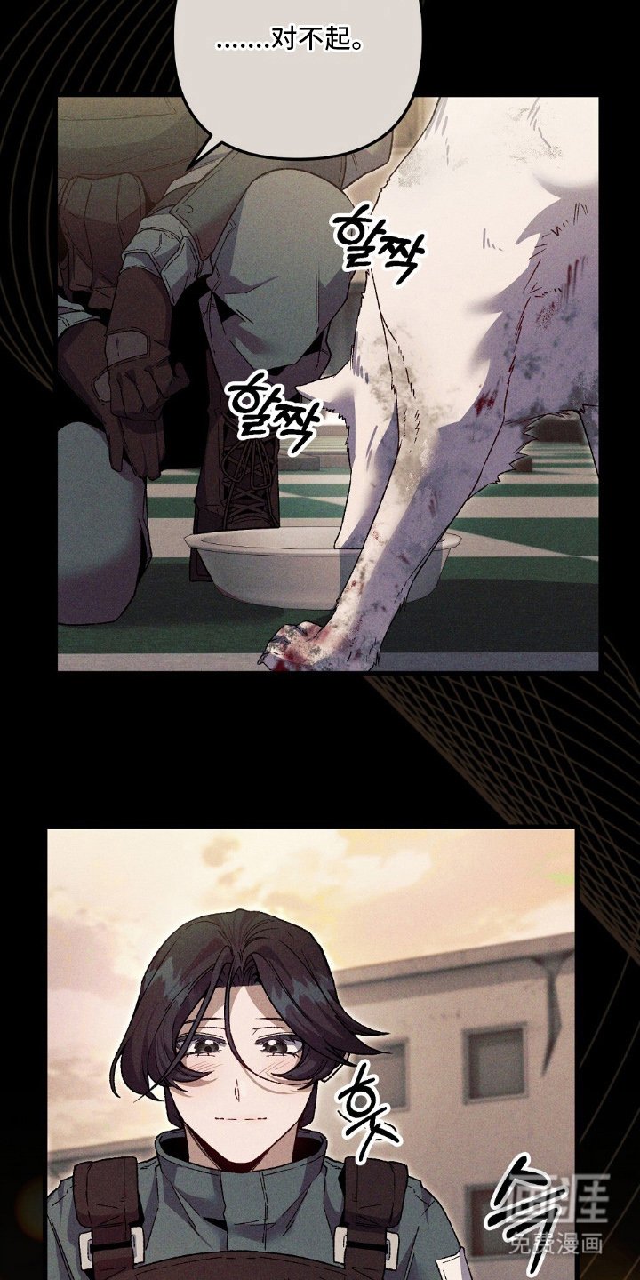 第13章：不记得了