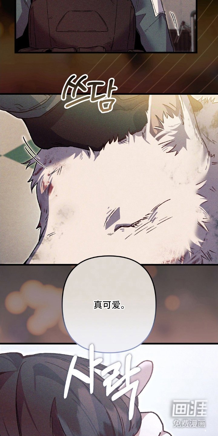 第13章：不记得了