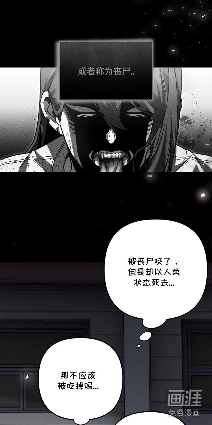 第16章：两种结局
