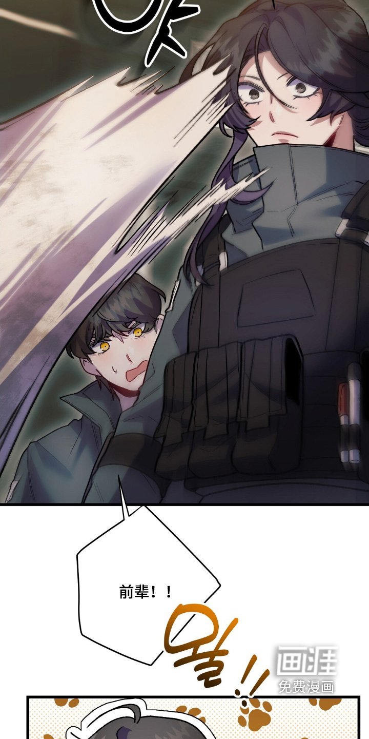 第23章：小狗