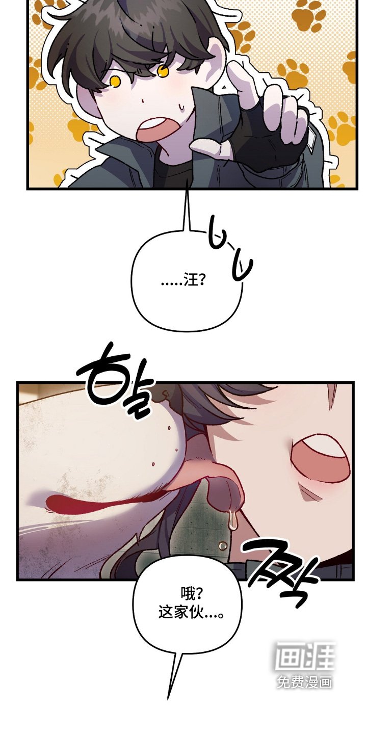 第23章：小狗