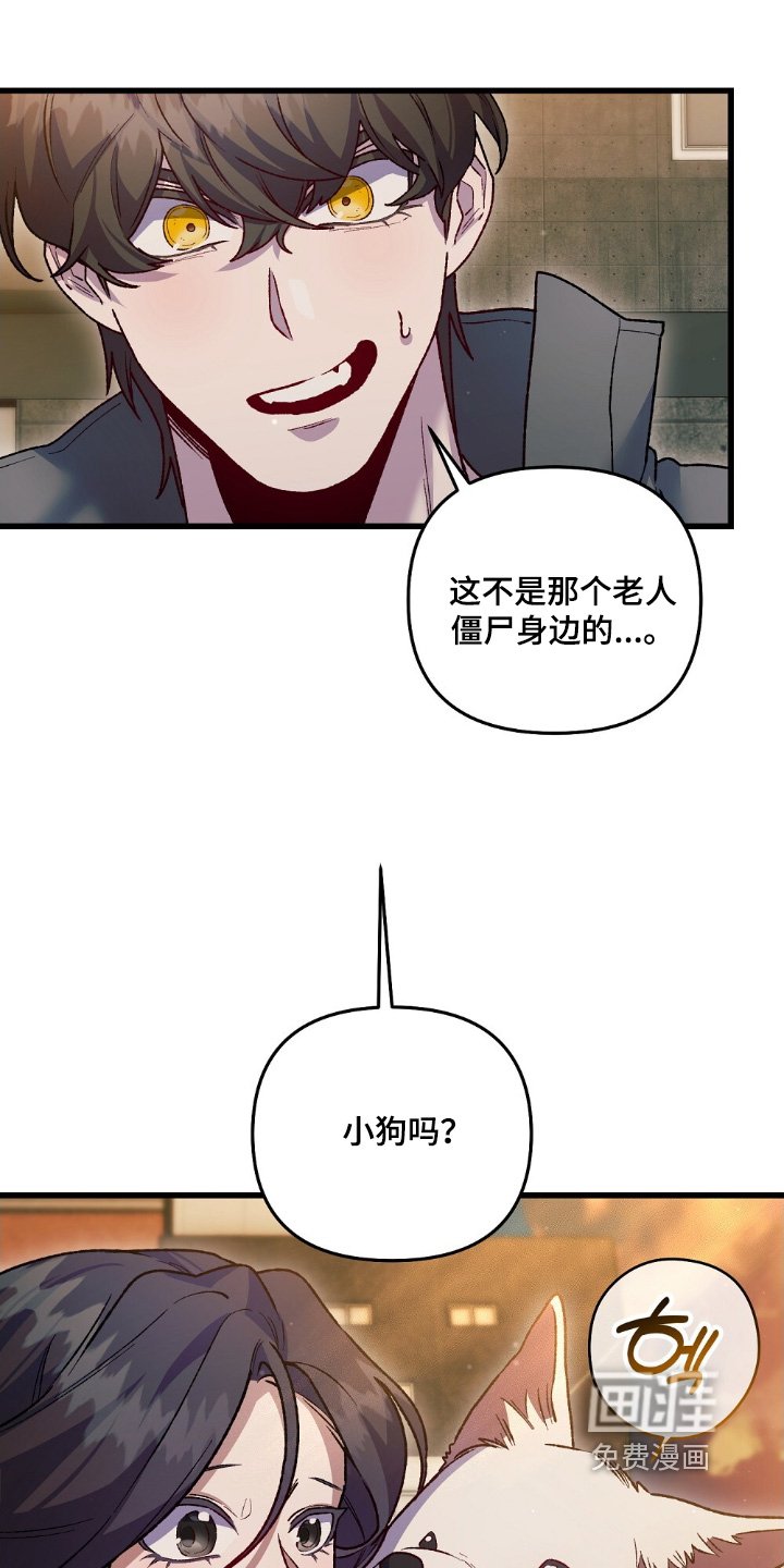 第23章：小狗