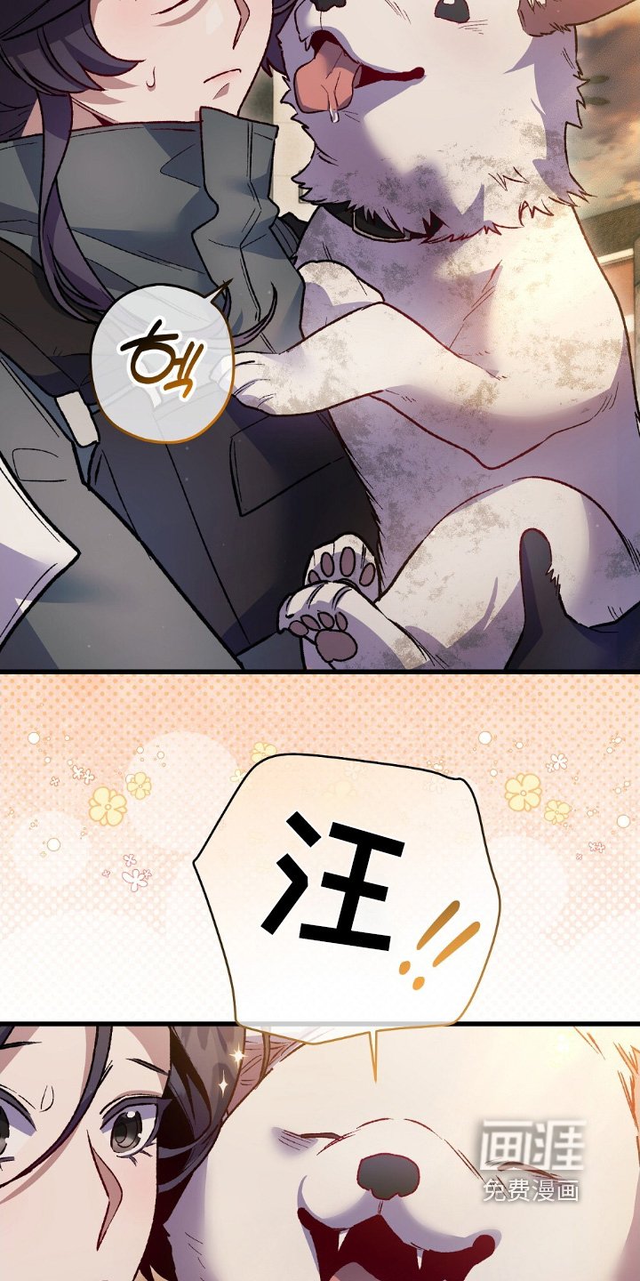 第23章：小狗