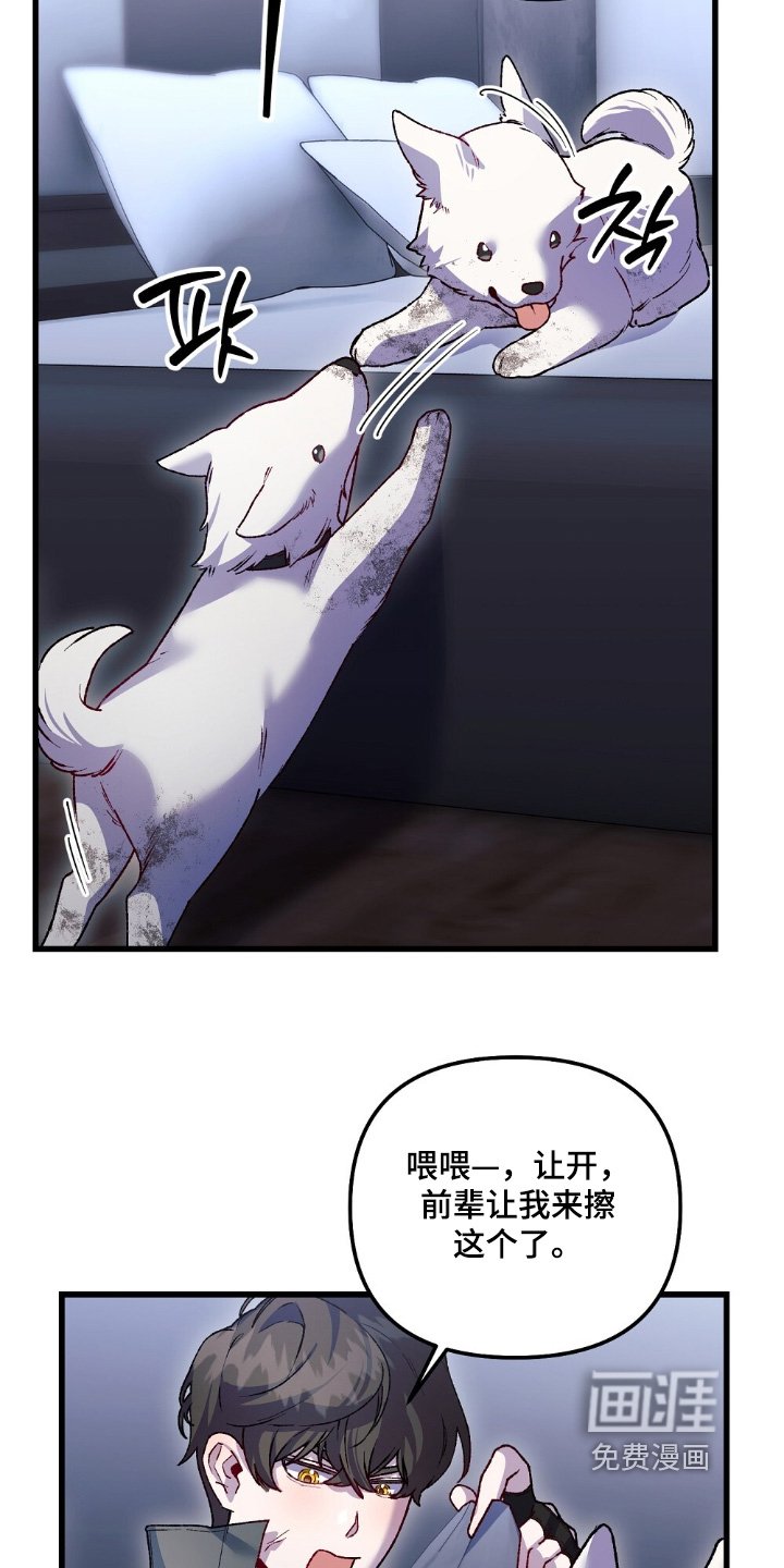 第25章：这里过夜吧