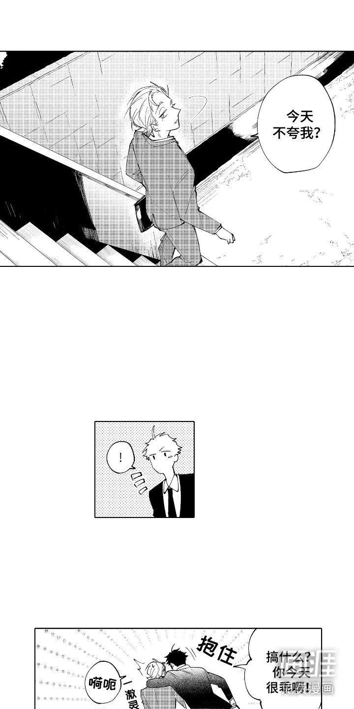 第17章：观光
