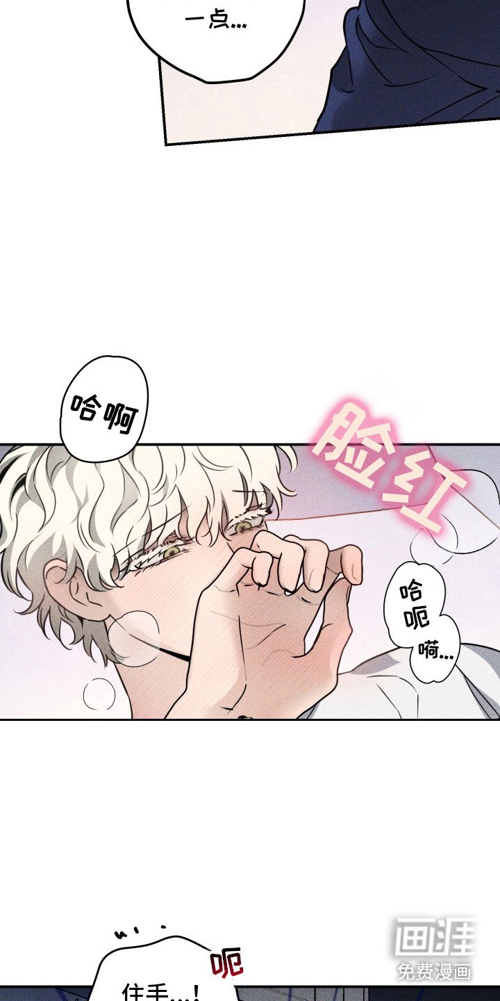 第4章：怪癖