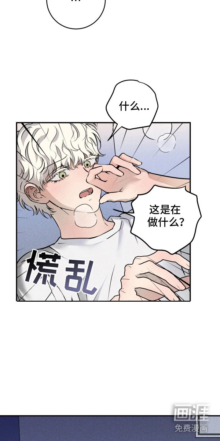 第4章：怪癖