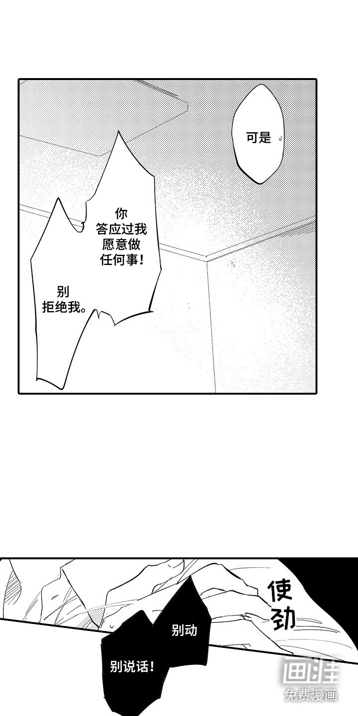 第12章：试探