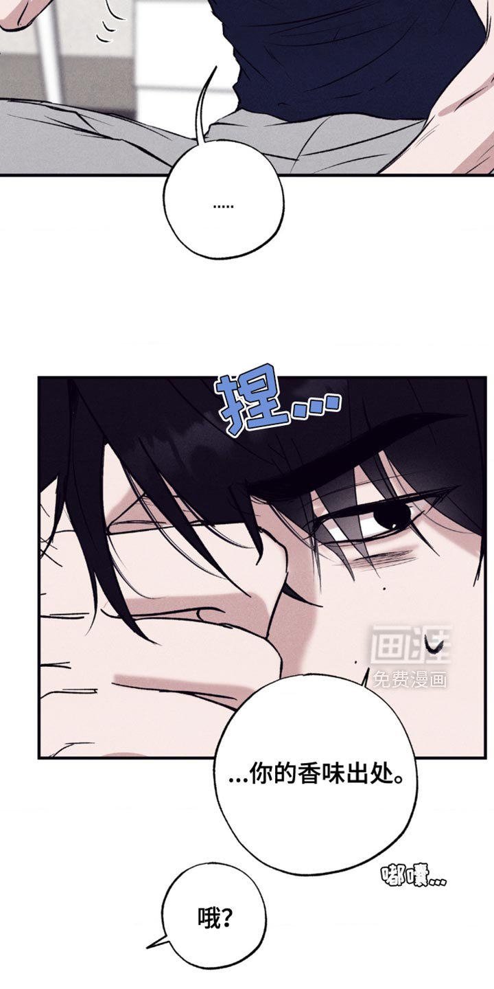 第15章：你的味道