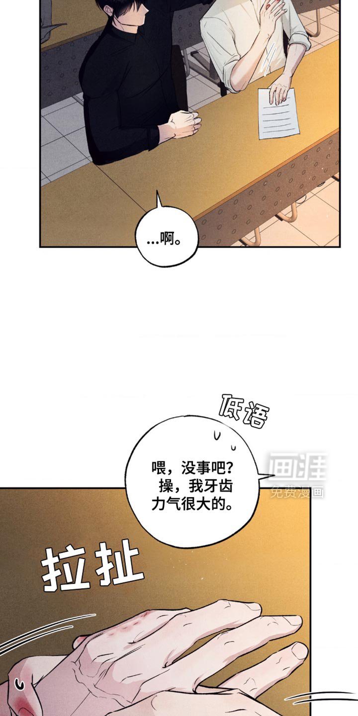 第18章：区别