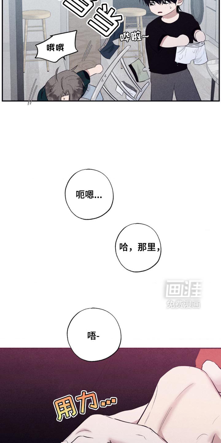 第28章：你求婚了嘛