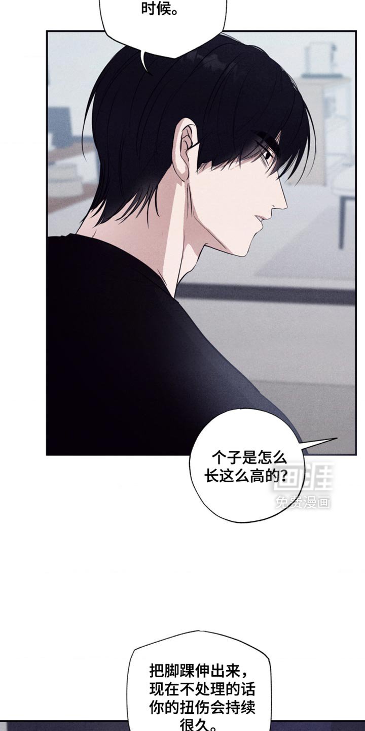 第28章：你求婚了嘛