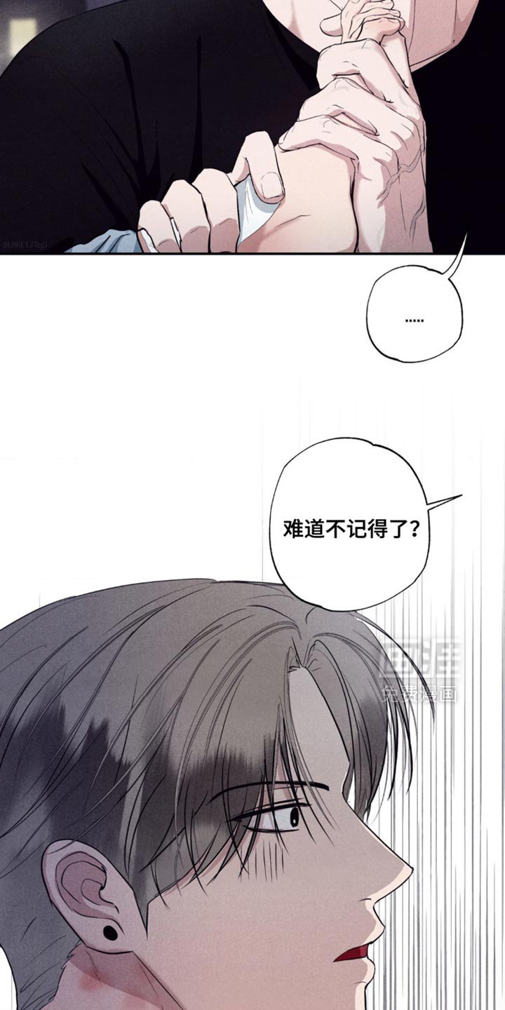 第28章：你求婚了嘛
