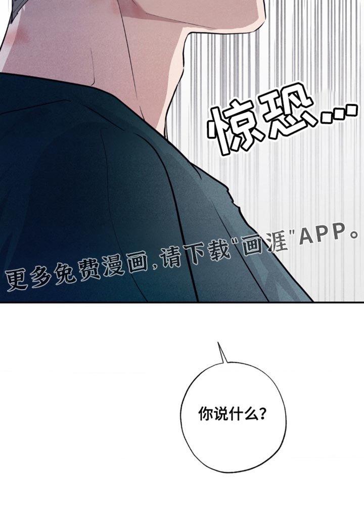 第28章：你求婚了嘛