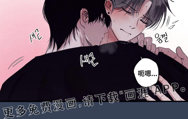 第40章：违反合约