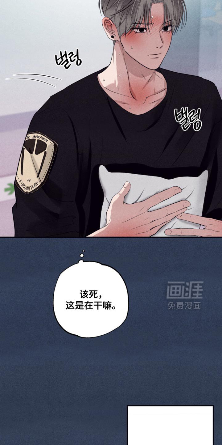 第41章：真的没回来