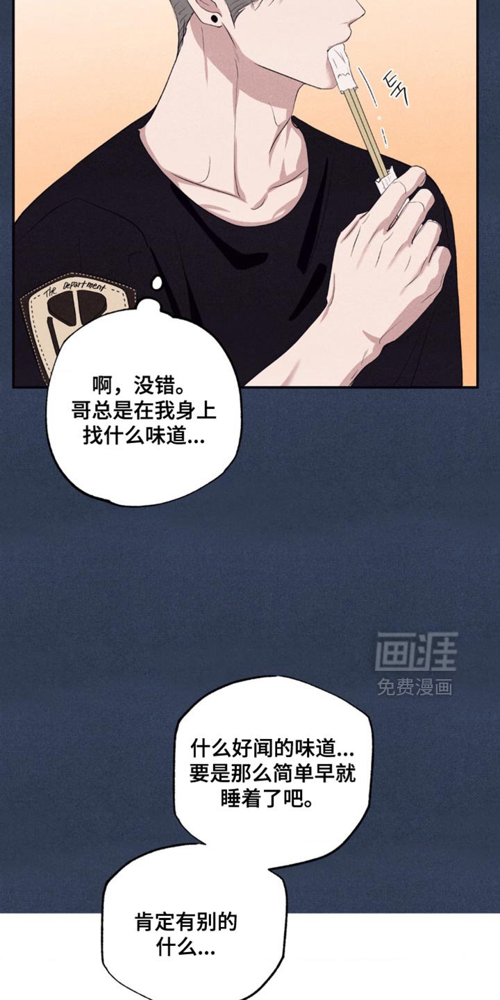 第41章：真的没回来