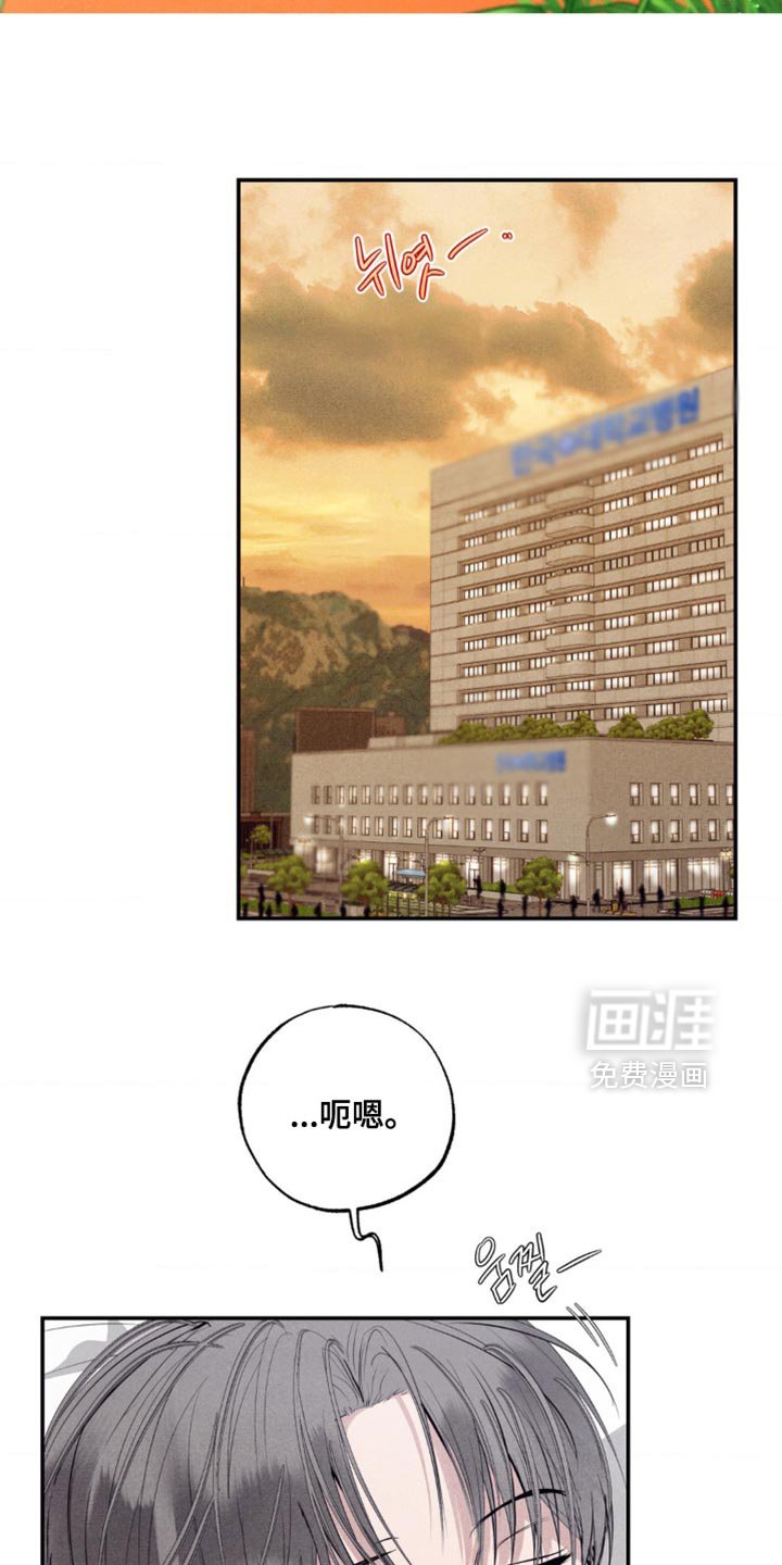 第44章：否认现实