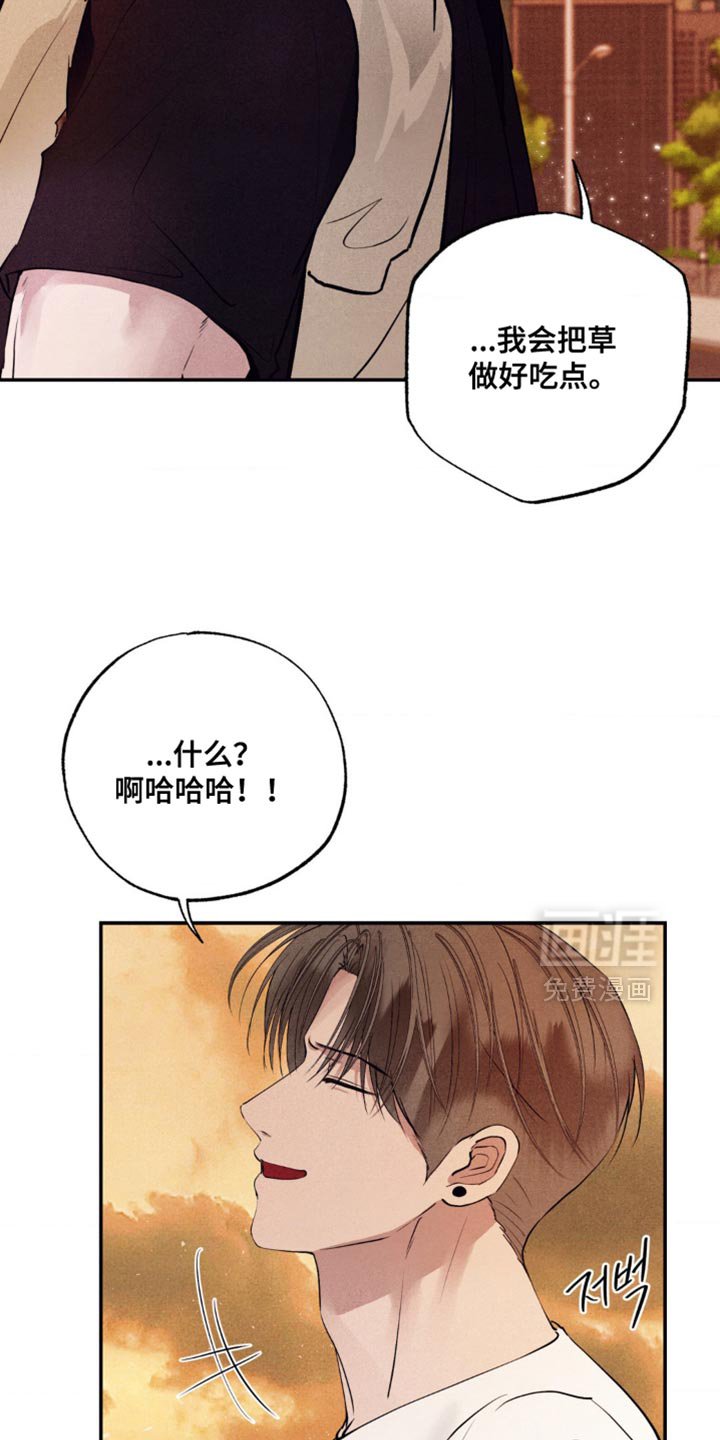 第45章：建设性的想法