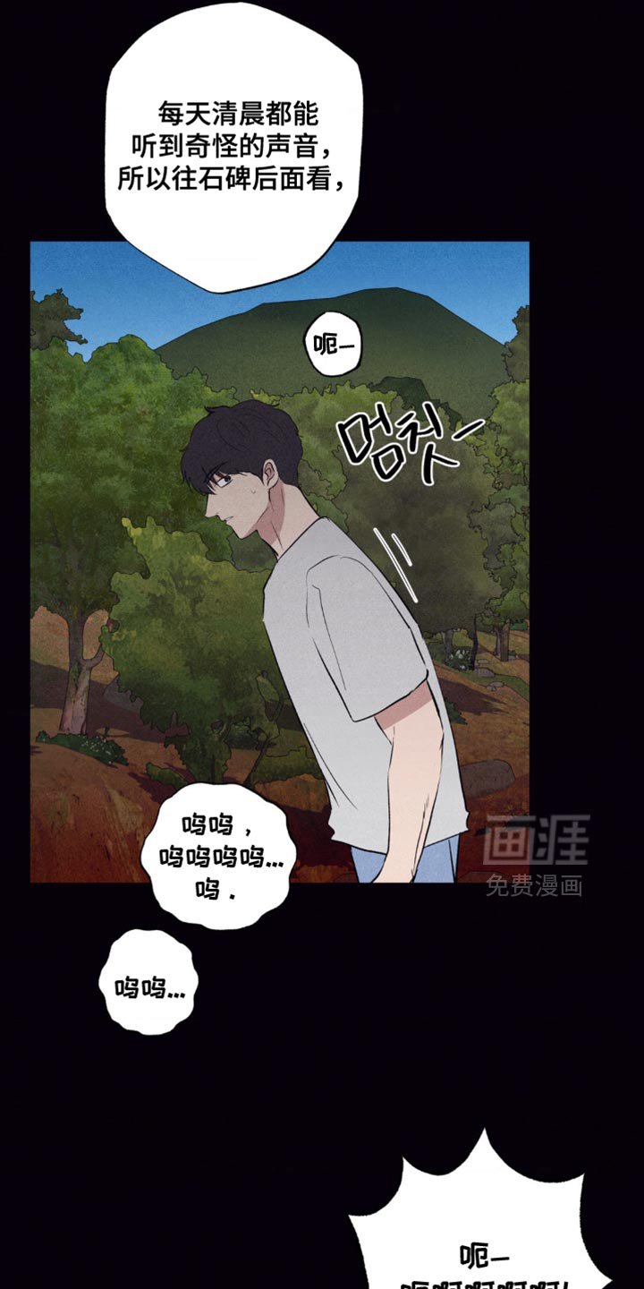 第49章：最终发表