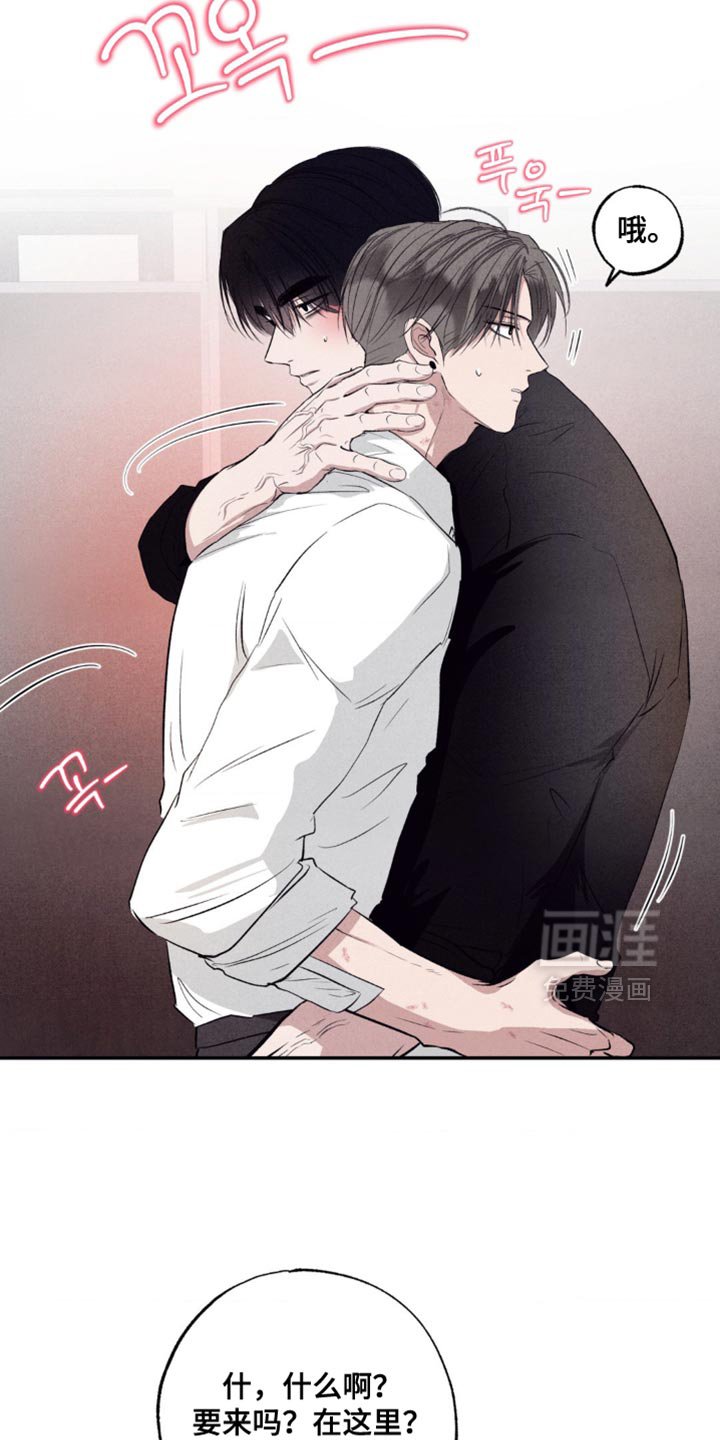 第49章：最终发表