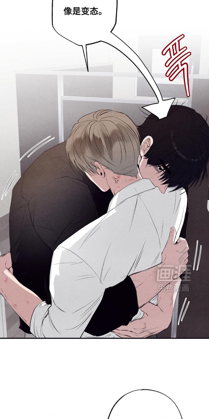 第49章：最终发表