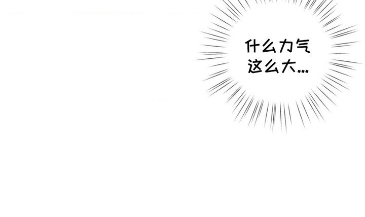 第6章：力气很大