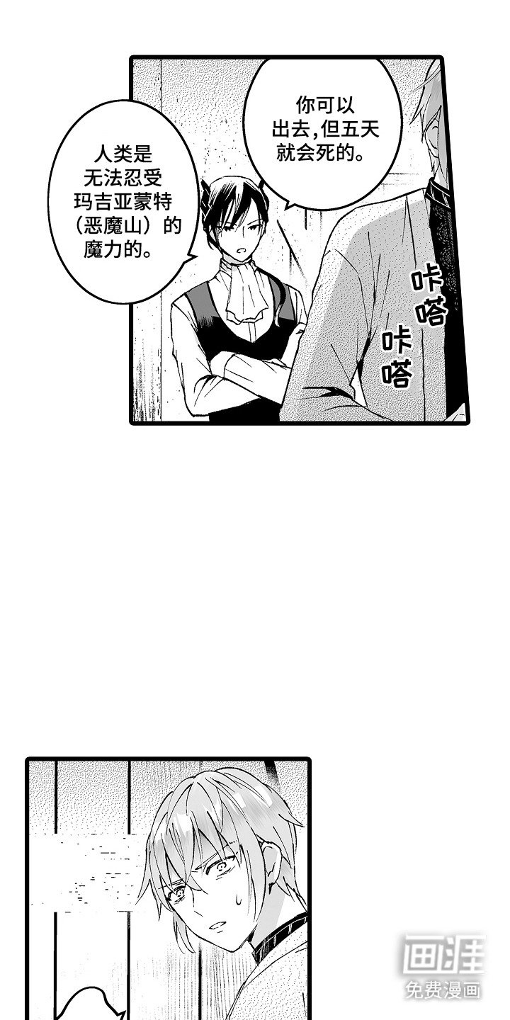 第5章：首领