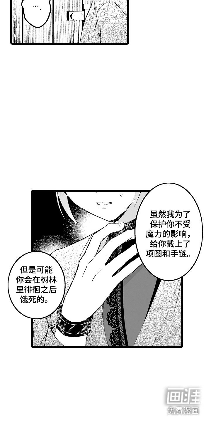 第5章：首领