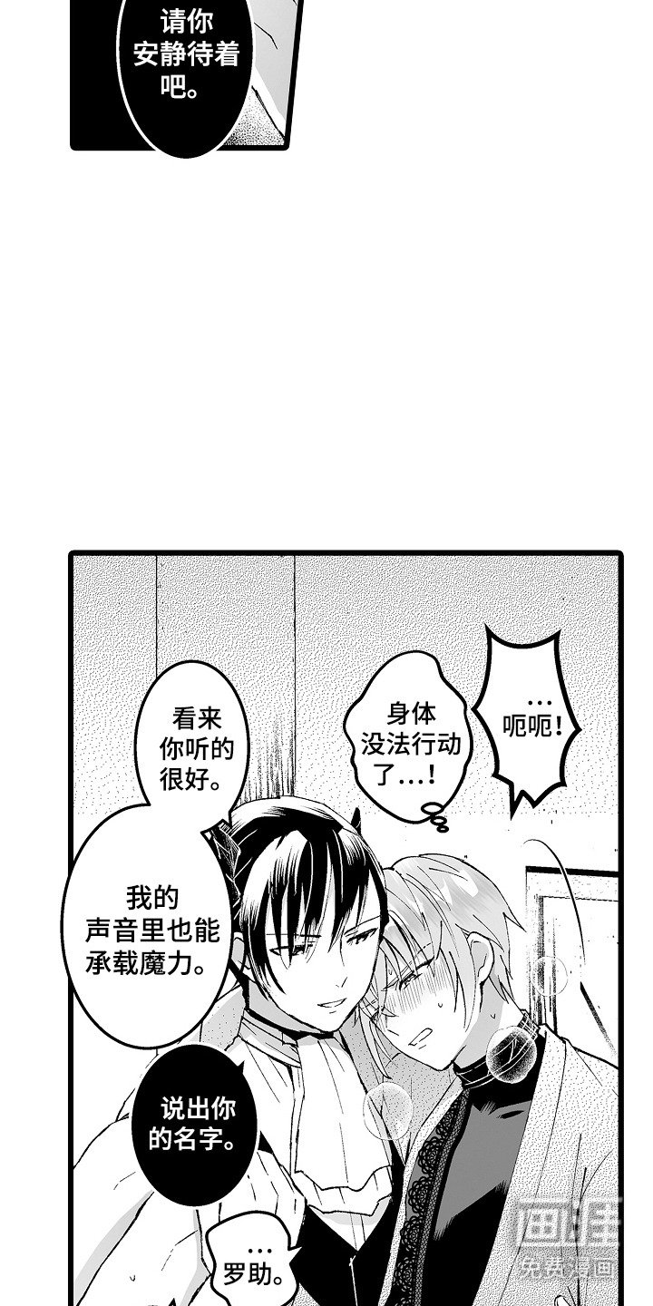 第5章：首领
