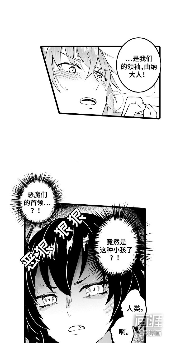 第5章：首领