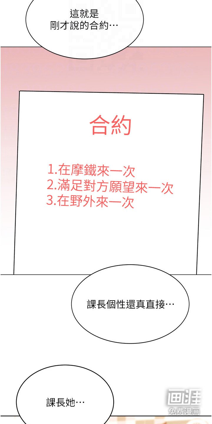 第26章：合约