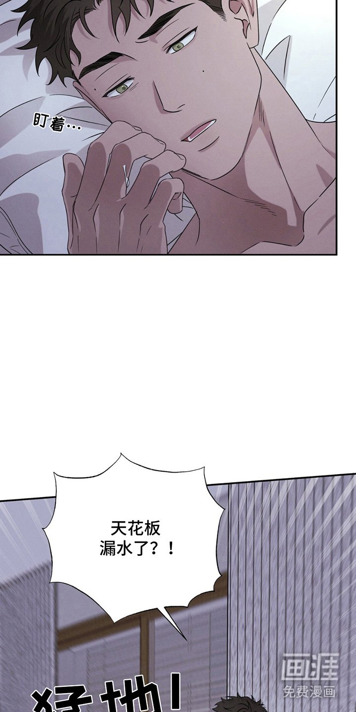 第12章：陷入