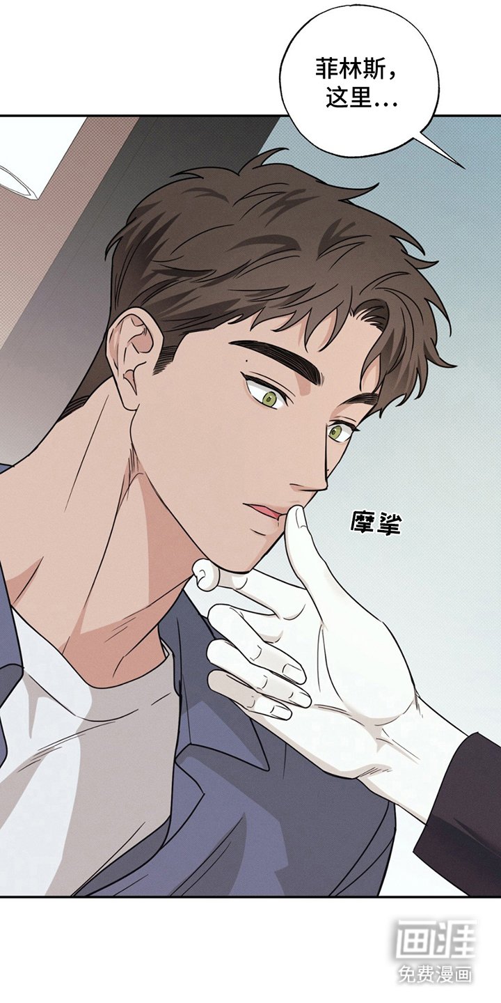 第15章：贵三倍的摄像机