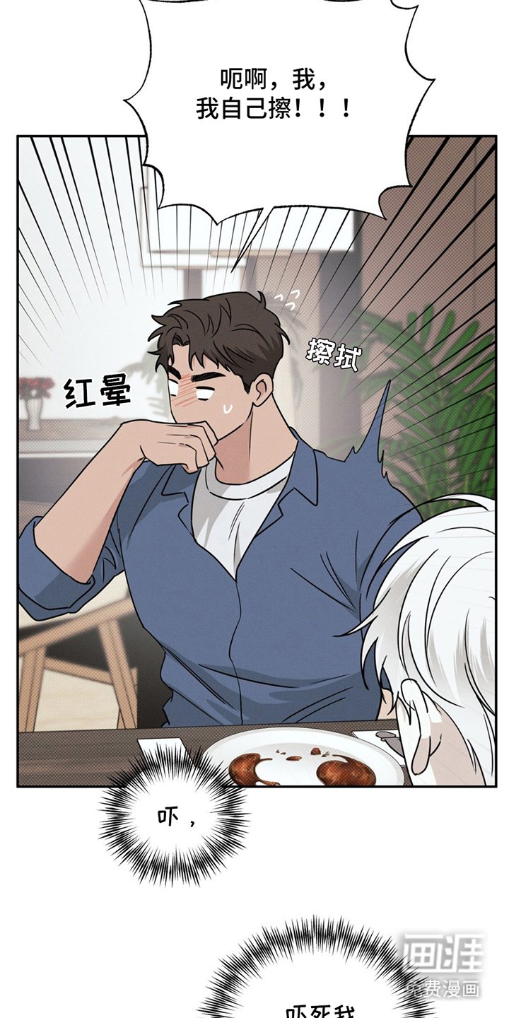 第15章：贵三倍的摄像机
