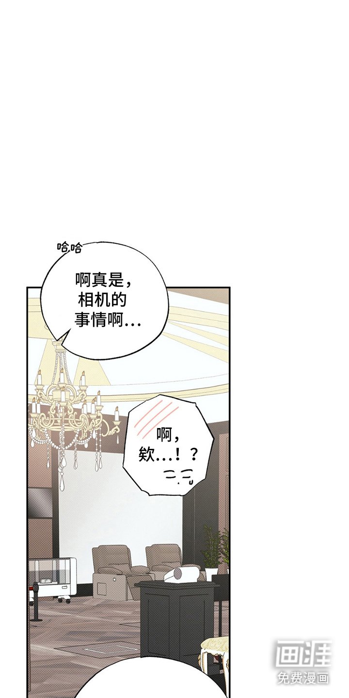 第15章：贵三倍的摄像机