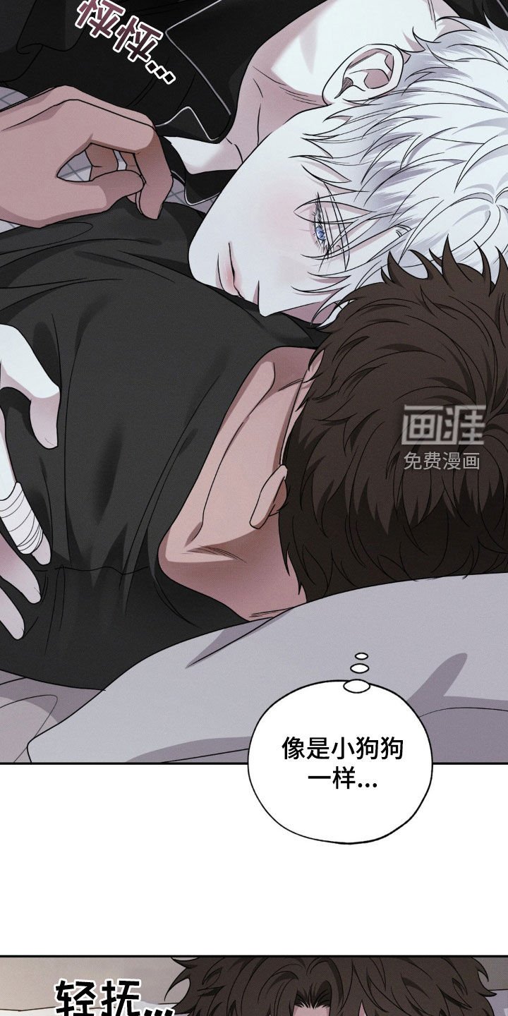 第26章：又是那个梦