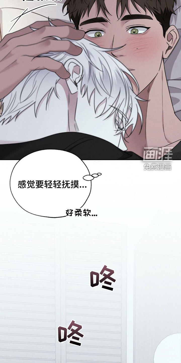 第26章：又是那个梦