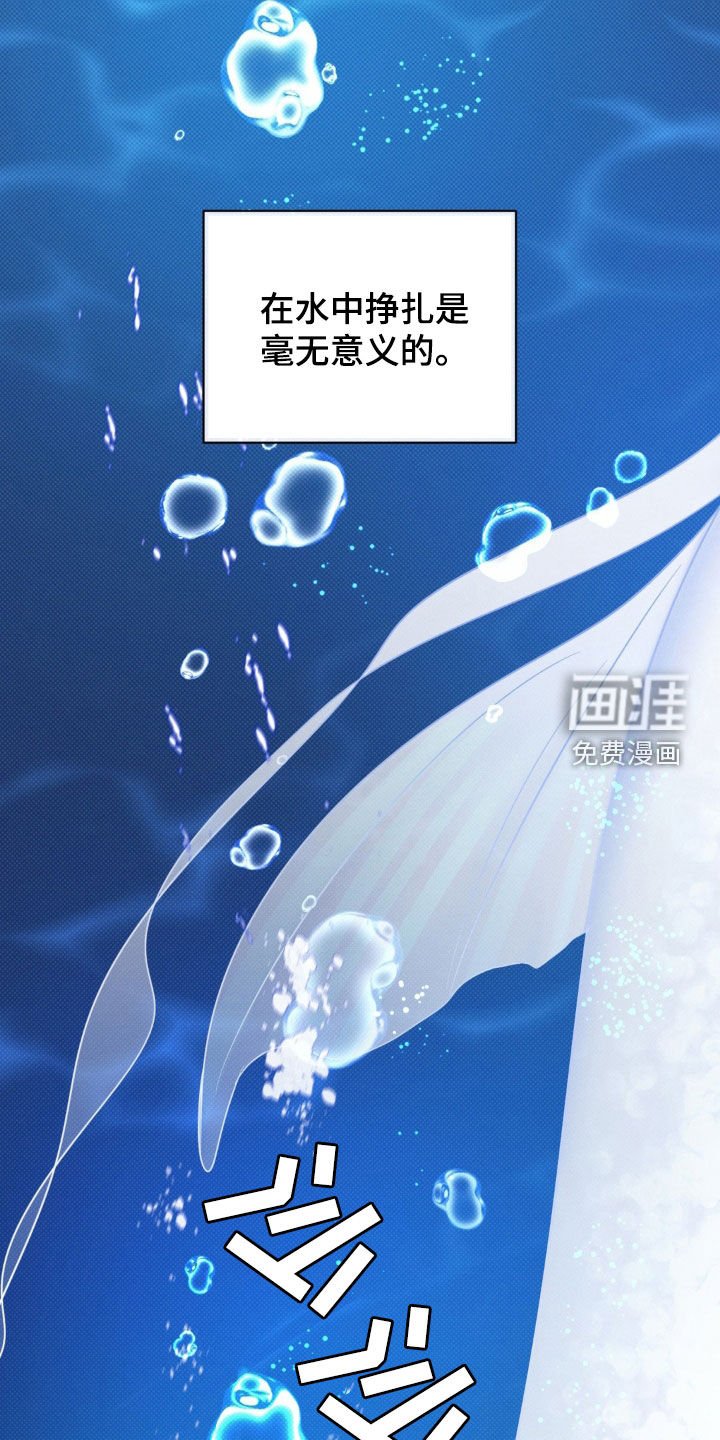 第26章：又是那个梦
