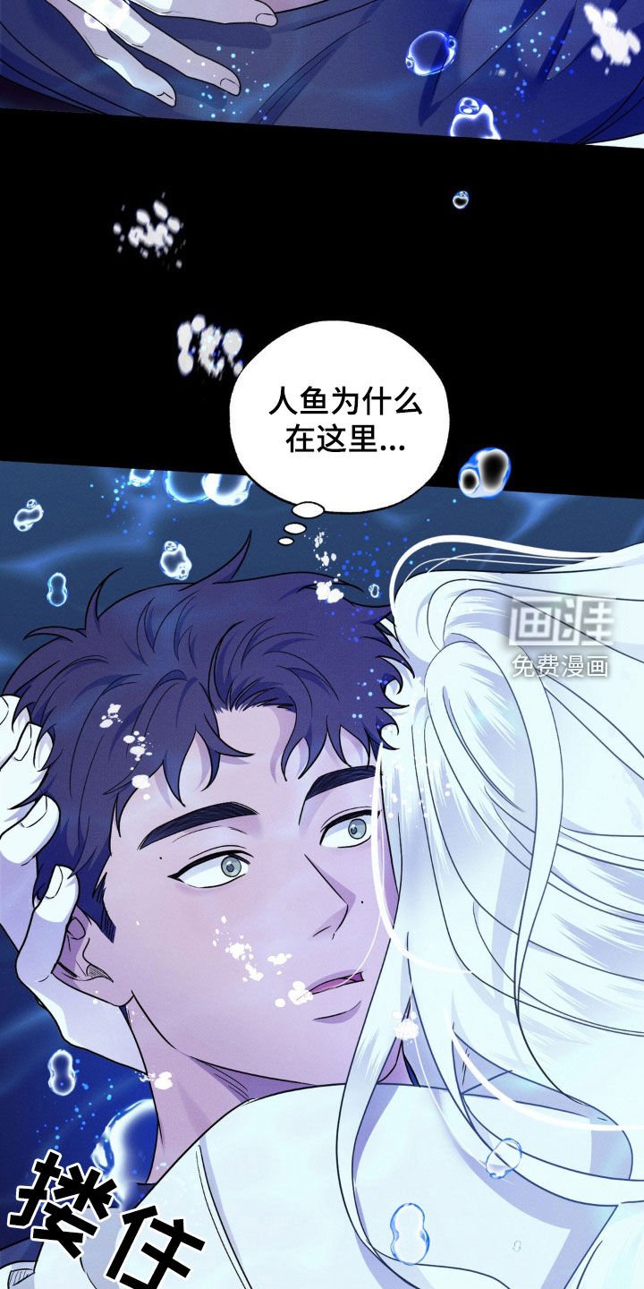 第26章：又是那个梦