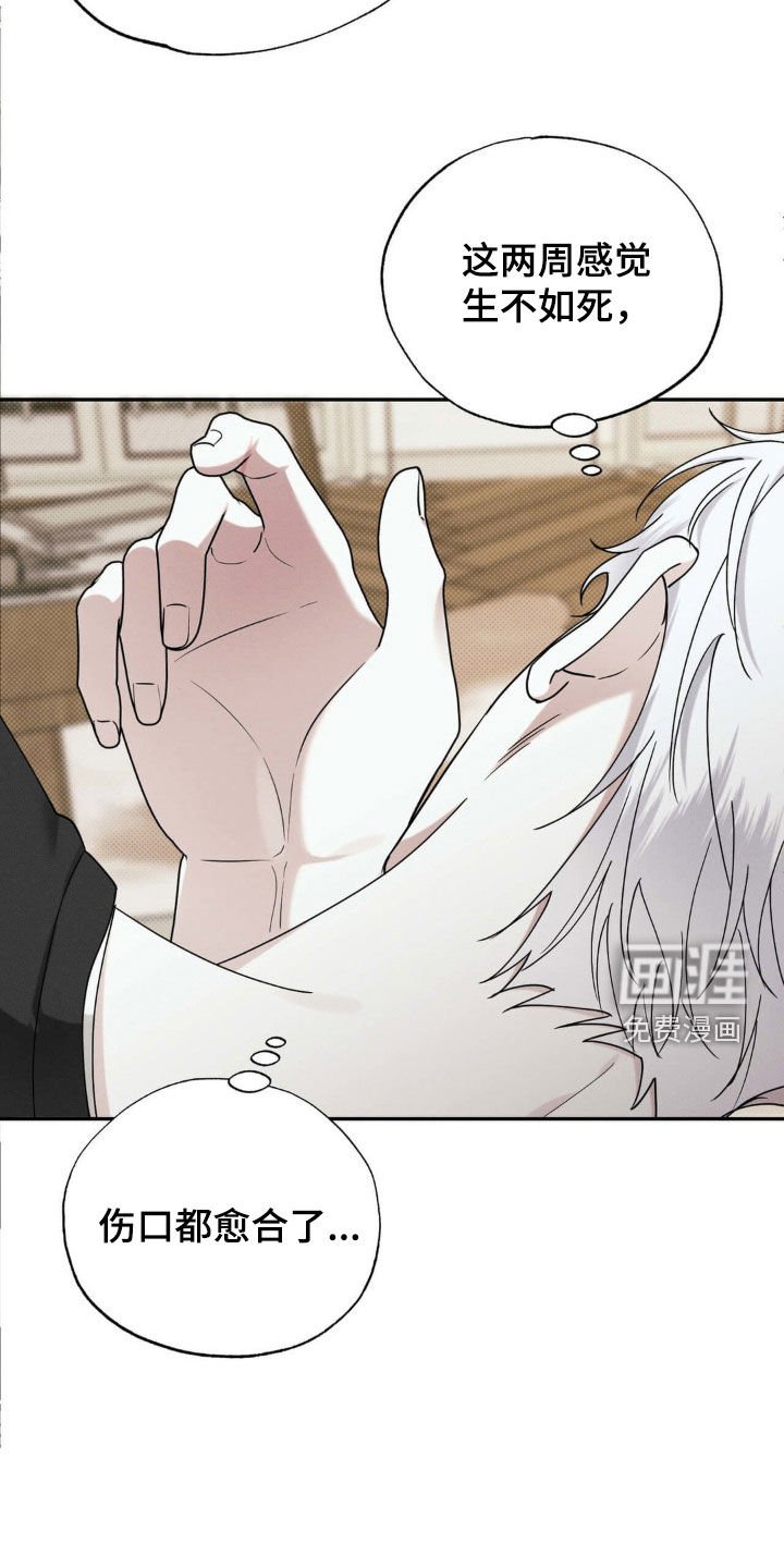 第28章：心烦意乱