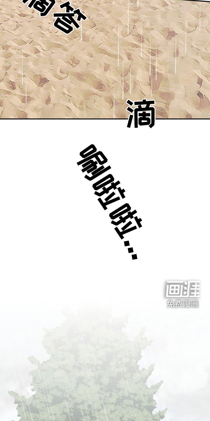 第31章：倾盆大雨