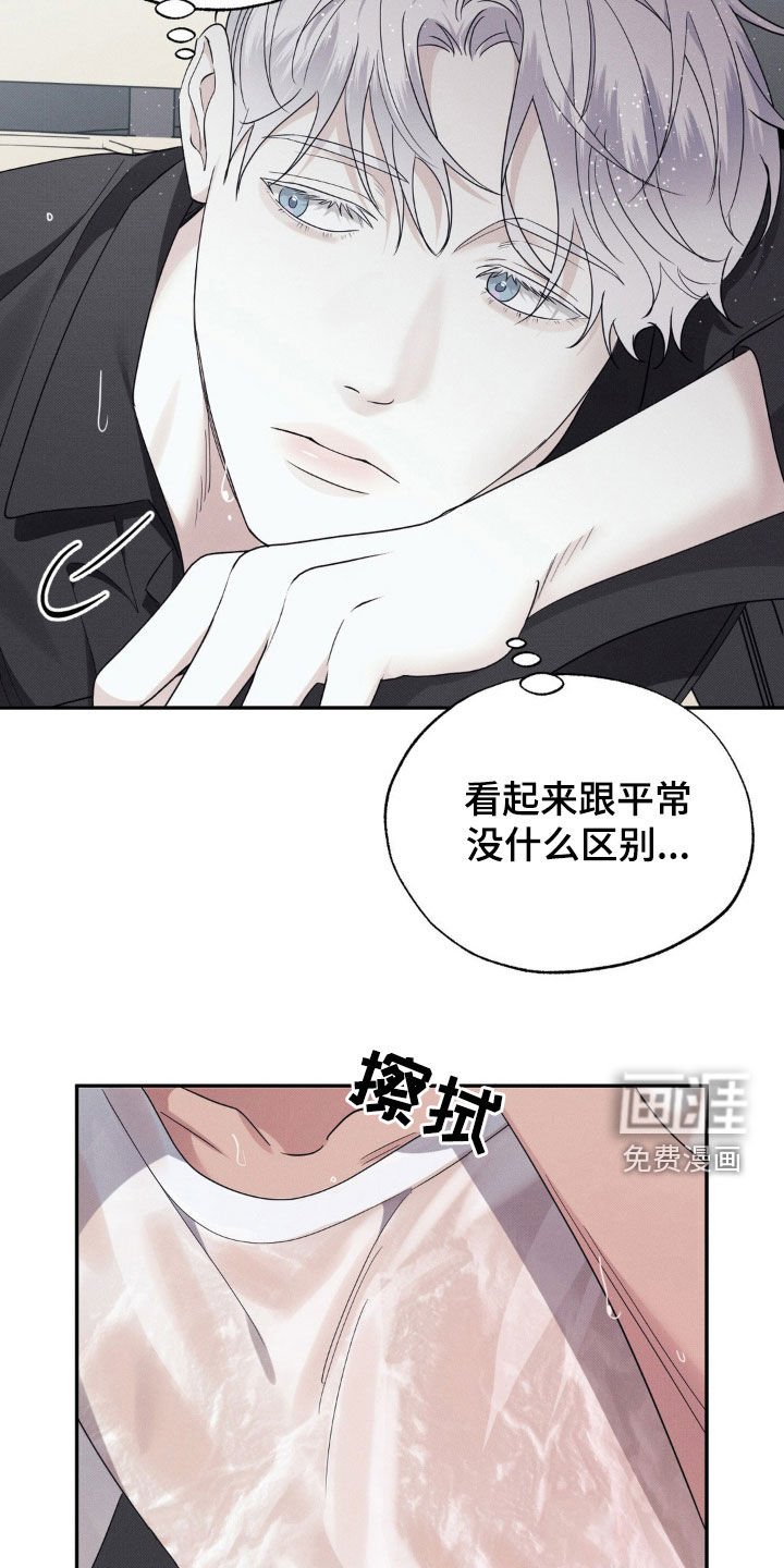 第31章：倾盆大雨