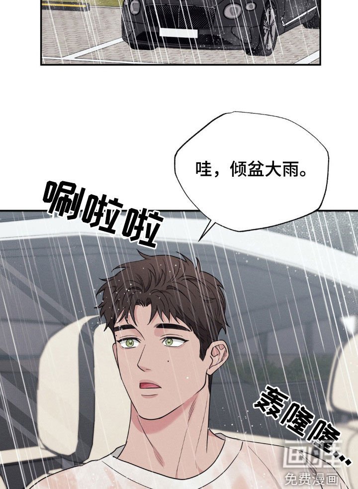 第31章：倾盆大雨