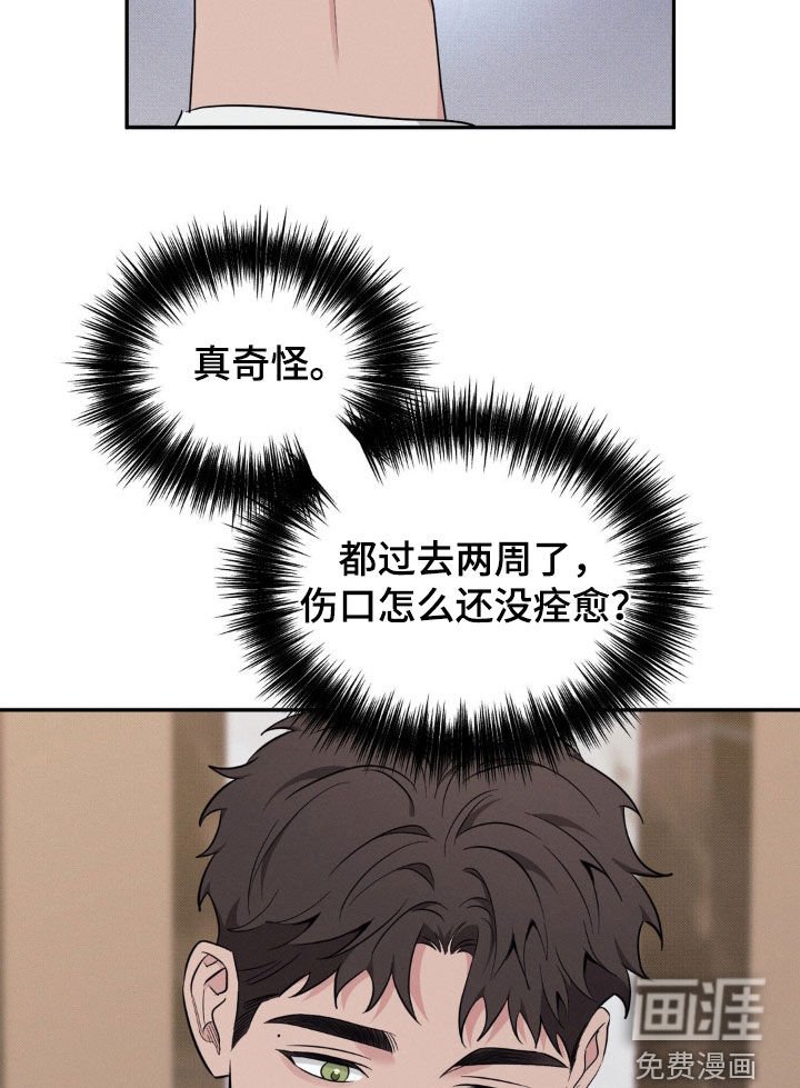 第32章：伤口