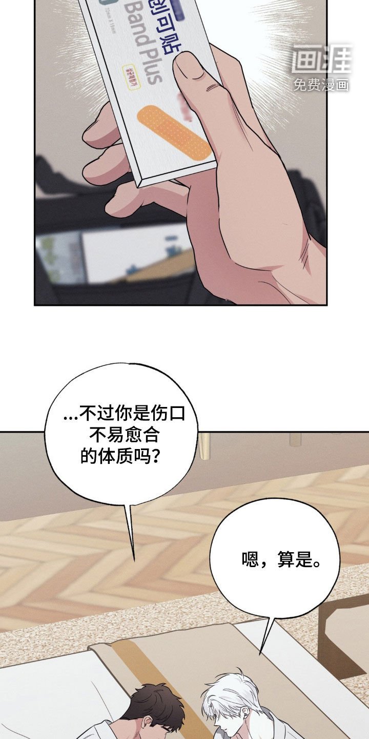 第32章：伤口