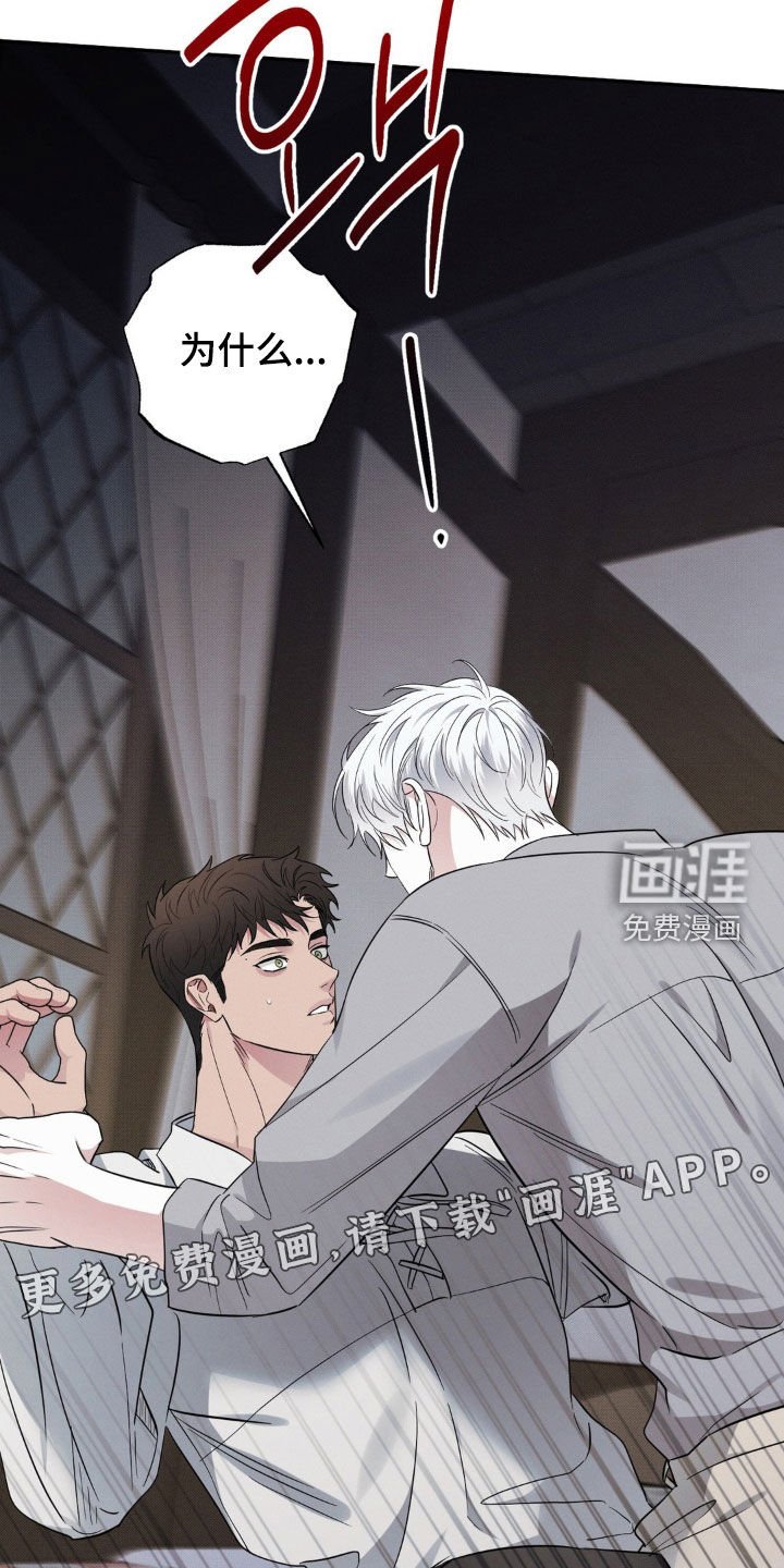 第44章：说不定会死